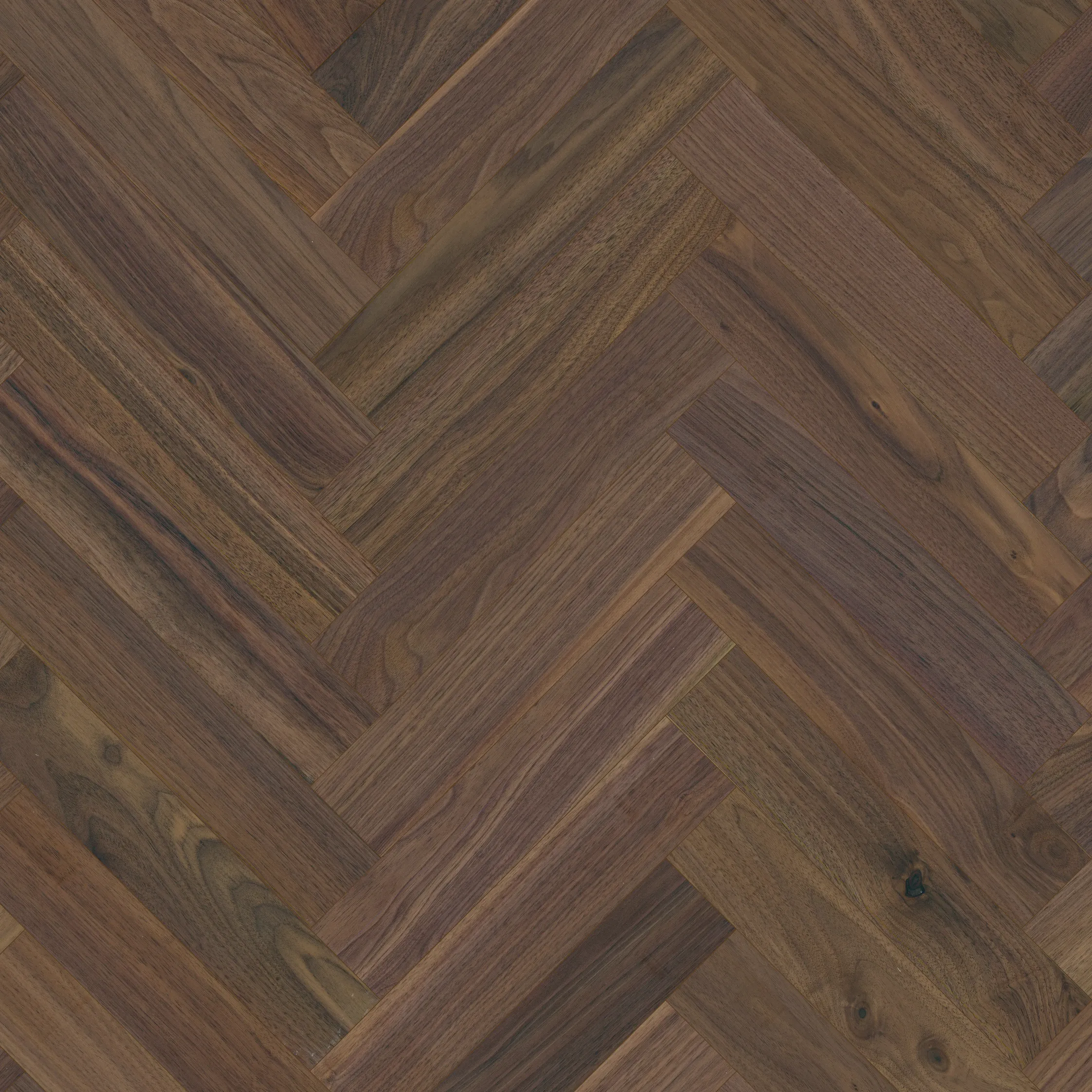 American Walnut